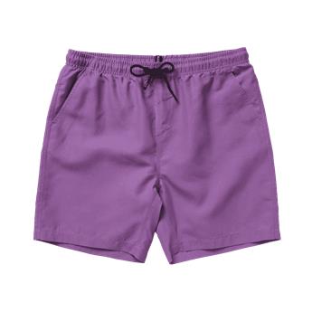 Boardshort MYSTIC Brand Swim Sunset Purple