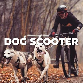 Dog Scooter