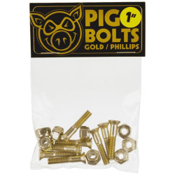 Visserie PIG (jeu de 8 vis) phillips 1 pouce gold