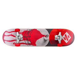 Skateboard street STREET SURFING cannon 31´´