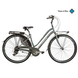 Vélo CASADEI e-bike ctb 28 aura ansmannh44 titane et bleu