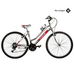 Vélo CASADEI mtb 26 lincy 18v h46 noir argent