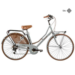 Vélo CASADEI olanda 26 6v h46 Gris