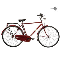 Vélo CASADEI olanda 28 homme h54 Gris