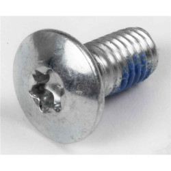 Visserie roller POWERSLIDE TorxMounting Screw L14mm, M6, smalll Head