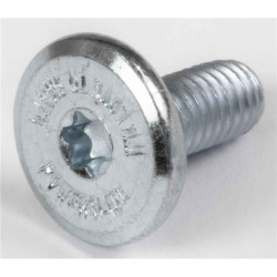 Visserie roller POWERSLIDE TorxMounting Screw L16mm, M6  Pcs