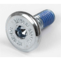 Visserie roller en ligne POWERSLIDE HexMountingScrew, L16mm M6, big Head