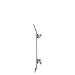 Skate ARBOR Whiskey 8.25 Upcycle 8.25