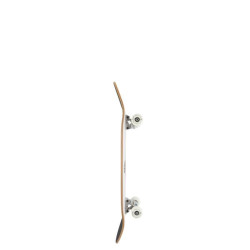Skate ARBOR Whiskey 8.25 Forage 8.25