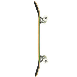 Skate ARBOR Street 8.0 Logo 8