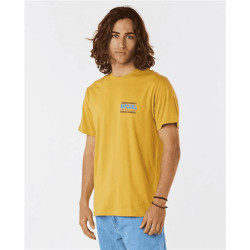 Teeshirt RIPCURL Down The Line Sstee Mustard Gold M