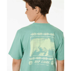 Teeshirt junior RIPCURL Pure Surf Art Tee -Boy Dusty Green 16