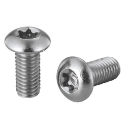 ELVEDES 100 Torx Head Stainless vis de disque