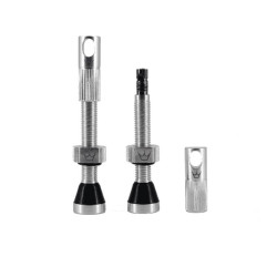 PEATY Valves Tubeless Peatys CNC 42mm silver