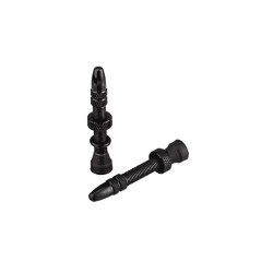 SPANK Paire de Valves Tubeless SPANK 35mm