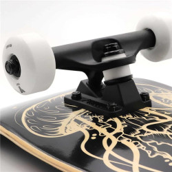 Skate TRIGGER Medusa 8.0