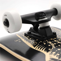 Skate TRIGGER Whale Shark 8.0