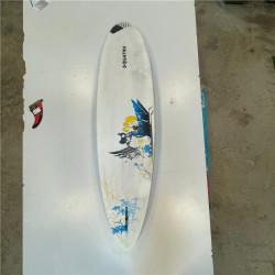 Planche Windsurf Single Wave 72L Occasion C