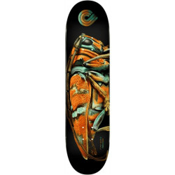 Plateau skate POWELL PERALTA Ps Biss Jewel Beetle 9.05