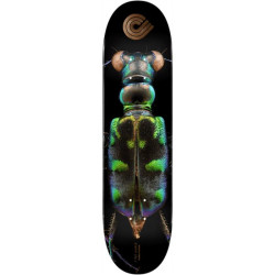 Plateau skate POWELL PERALTA Ps Biss Tiger Beetle 8.25