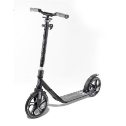 Trottinette Adulte FRENZY FR250 Recreational