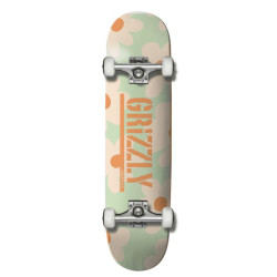 Skate GRIZZLY Power Flower Mint 8.0
