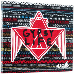 CLICHÉ SKATEBOARDS  Dvd Gypsy Life