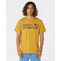 Teeshirt RIPCURL Down The Line Stripe S/S Tee Mustard Gold