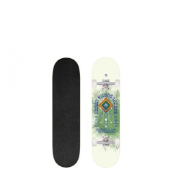 Plateau skate ARBOR Whiskey 8.0 Experience 8