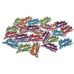 Autocollants MINDLESS (50 Stickers) Black