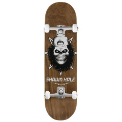 Plateau skate BIRDHOUSE SKATEBOARDS Hale Skull Brown 8.5