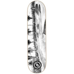 Plateau de skate HYDROPONIC Spot Series La Mar Bella 8.5