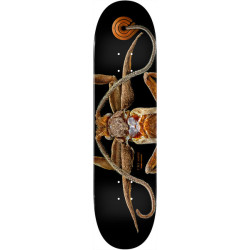 Plateau skate Powell Peralta Deck Ps Biss Marion Moth 8.25 X 31.95