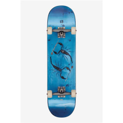 Skate GLOBE G2 Rholtsu Scorps 8