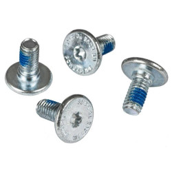 Visserie roller CHAYA DCM Mounting Screw 155mm