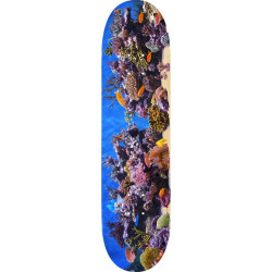 MINI LOGO DECK FIN FUR FEATHER 18 FISH TANK 8.0 X 31.45
