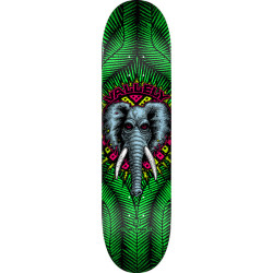 POWELL DECK PP VALLELY ELEPHANT GREEN 8.0 X 31.45