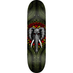 POWELL DECK PP VALLELY ELEPHANT OLIVE 8.25 X 31.95