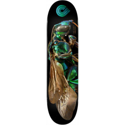 POWELL DECK PS BISS ORCHID CUCKOO BEE 8.0 X 31.45