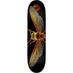 POWELL DECK PS BISS POTTER WASP 8.0 X 31.45