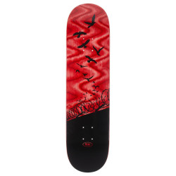 REAL DECK SET FREE SPECRUM RED 8.06 X 31.5
