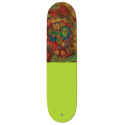 THE KILLING FLOOR DECK SENSORY LAB 11 8.25
