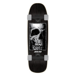 SANTA CRUZ COMPLETE CRUISER STREET CREEP FRAMED 9.51 X 32.26