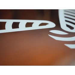 Monofilm Transparent Thickness 4.0 mil Width 1.65m p/m