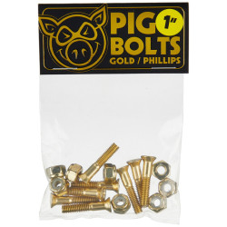 PIG VISSERIE (JEU DE 8 VIS) PHILLIPS 1 POUCE GOLD
