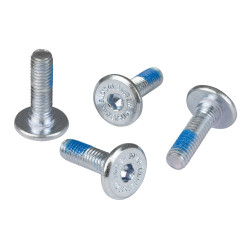 CHAYA Replacement Parts PARTS Roller Skates CHAYA POWERSLIDE DCM Mounting Screw 19mm Silver