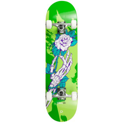 PLAYLIFE Skateboards Skull Homegrown Multi-Colored