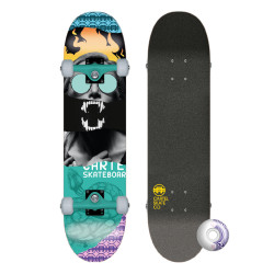 Skate Complet Cartel Venom 