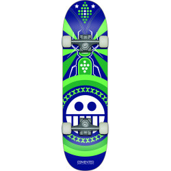 Skate Complet Demented Insect