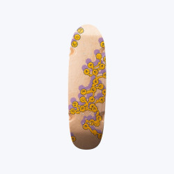 Luster Egg Friends 9.0"x29.5" Yow City Cruiser Deck